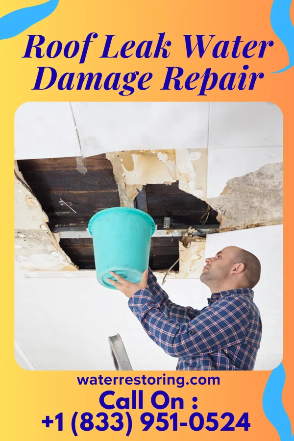 Roof Leak Water Damage Repair in Village St. George, LA