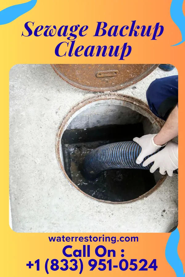 Sewage Backup Cleanup in Village St. George, LA